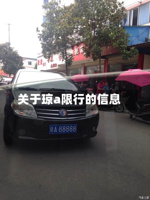 关于琼a限行的信息