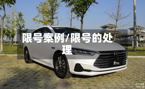限号案例/限号的处理-第2张图片