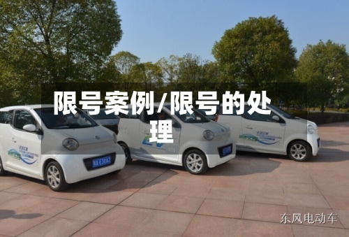 限号案例/限号的处理