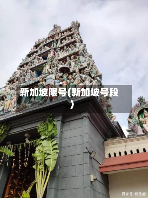 新加坡限号(新加坡号段)-第2张图片