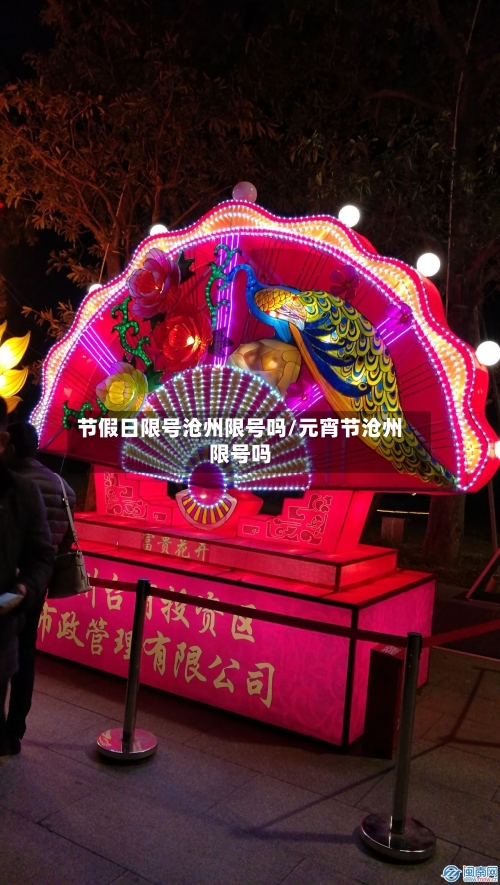 节假日限号沧州限号吗/元宵节沧州限号吗