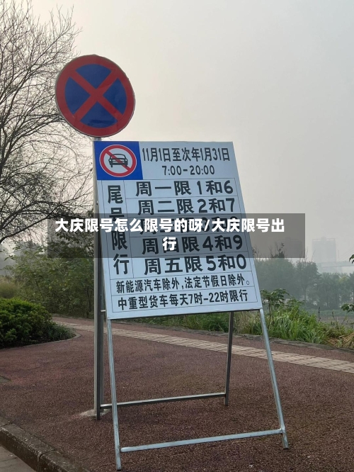 大庆限号怎么限号的呀/大庆限号出行-第2张图片
