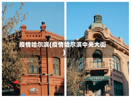 疫情哈尔滨(疫情哈尔滨中央大街)