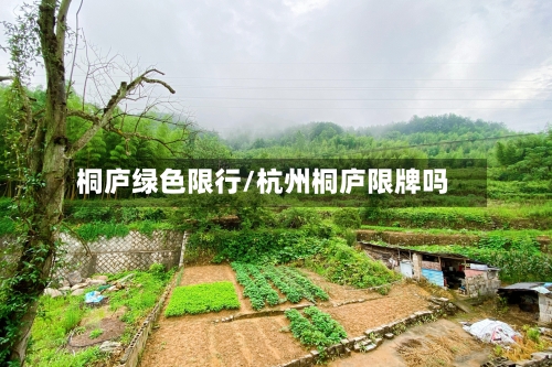 桐庐绿色限行/杭州桐庐限牌吗