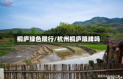 桐庐绿色限行/杭州桐庐限牌吗-第2张图片