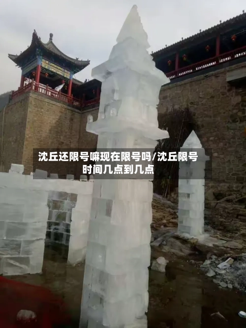 沈丘还限号嘛现在限号吗/沈丘限号时间几点到几点-第2张图片