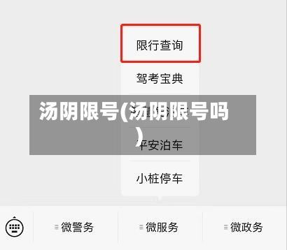 汤阴限号(汤阴限号吗)
