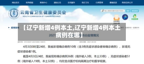 【辽宁新增4例本土,辽宁新增4例本土病例在哪】-第3张图片