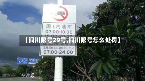 【铜川限号29号,铜川限号怎么处罚】