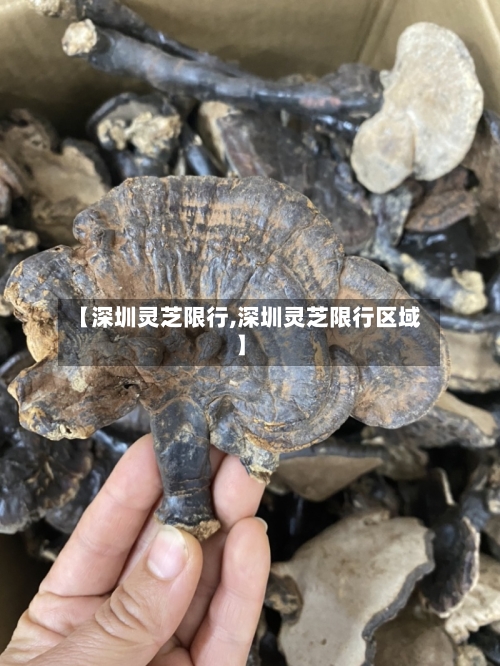 【深圳灵芝限行,深圳灵芝限行区域】-第2张图片