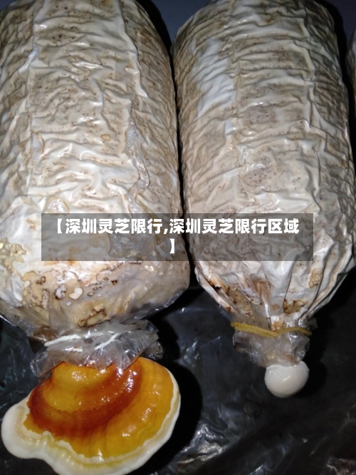 【深圳灵芝限行,深圳灵芝限行区域】