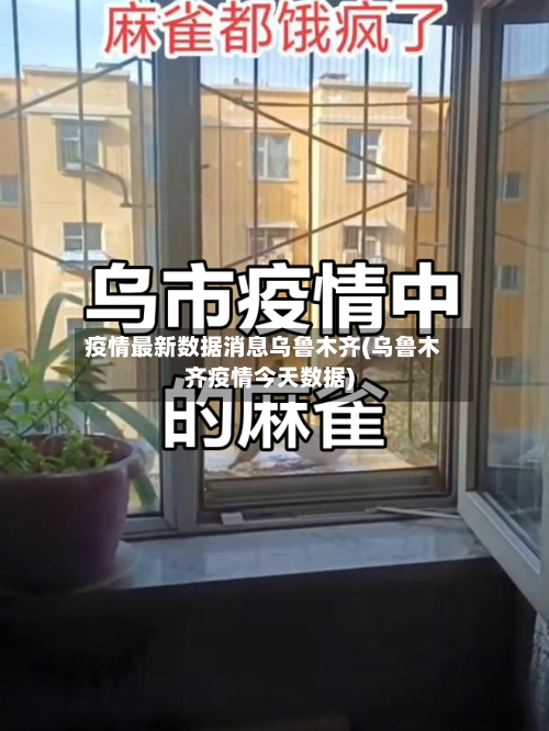 疫情最新数据消息乌鲁木齐(乌鲁木齐疫情今天数据)-第3张图片