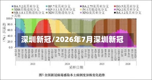 深圳新冠/2026年7月深圳新冠