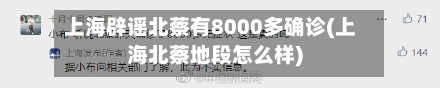 上海辟谣北蔡有8000多确诊(上海北蔡地段怎么样)-第2张图片