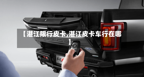 【湛江限行皮卡,湛江皮卡车行在哪】-第2张图片