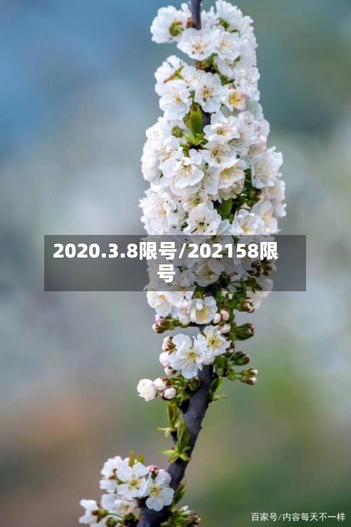 2020.3.8限号/202158限号-第2张图片