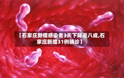 【石家庄新增感染者3天下降近八成,石家庄新增31例确诊】
