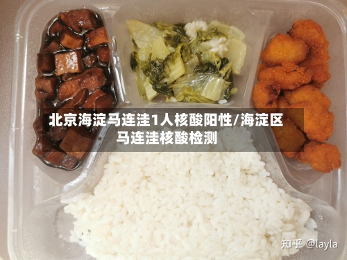 北京海淀马连洼1人核酸阳性/海淀区马连洼核酸检测-第2张图片