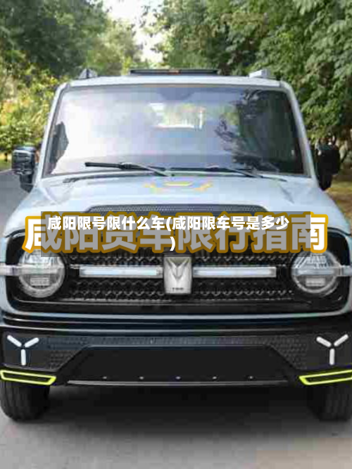 咸阳限号限什么车(咸阳限车号是多少)
