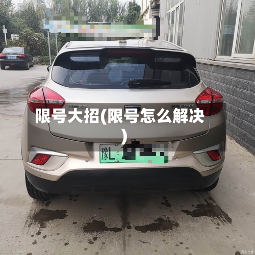 限号大招(限号怎么解决)-第2张图片
