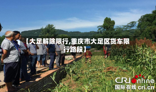 【大足解除限行,重庆市大足区货车限行路段】-第2张图片