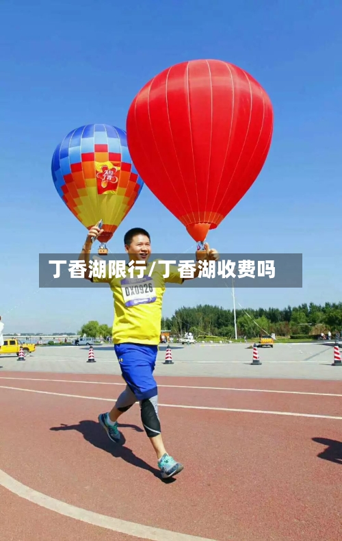 丁香湖限行/丁香湖收费吗