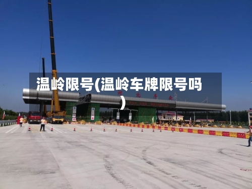 温岭限号(温岭车牌限号吗)