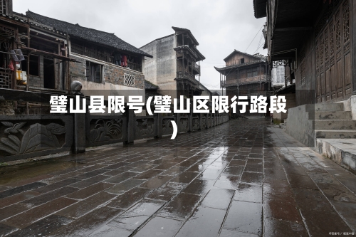 璧山县限号(璧山区限行路段)