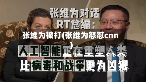 张维为被打(张维为怒怼cnn)-第2张图片