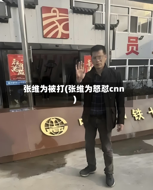 张维为被打(张维为怒怼cnn)