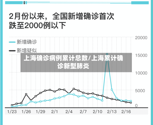 上海确诊病例累计总数/上海累计确诊新型肺炎