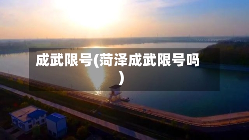 成武限号(菏泽成武限号吗)-第2张图片
