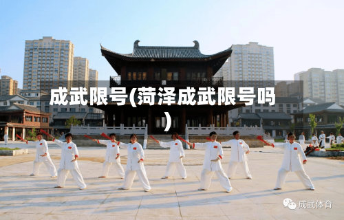 成武限号(菏泽成武限号吗)-第3张图片