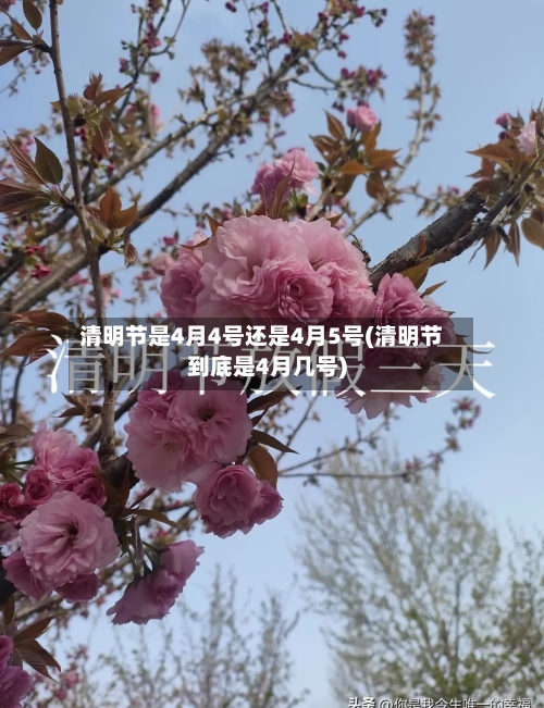 清明节是4月4号还是4月5号(清明节到底是4月几号)-第2张图片