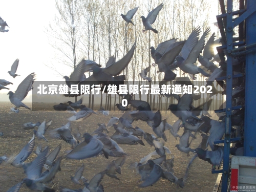 北京雄县限行/雄县限行最新通知2020-第3张图片