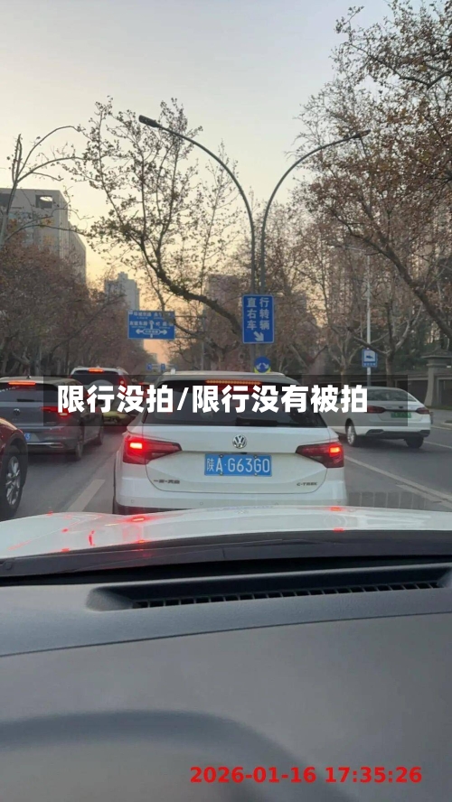 限行没拍/限行没有被拍