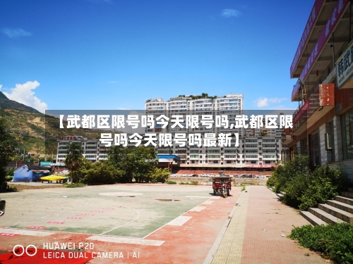 【武都区限号吗今天限号吗,武都区限号吗今天限号吗最新】-第2张图片