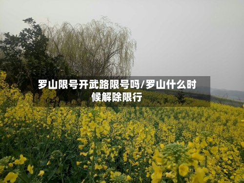 罗山限号开武路限号吗/罗山什么时候解除限行-第2张图片