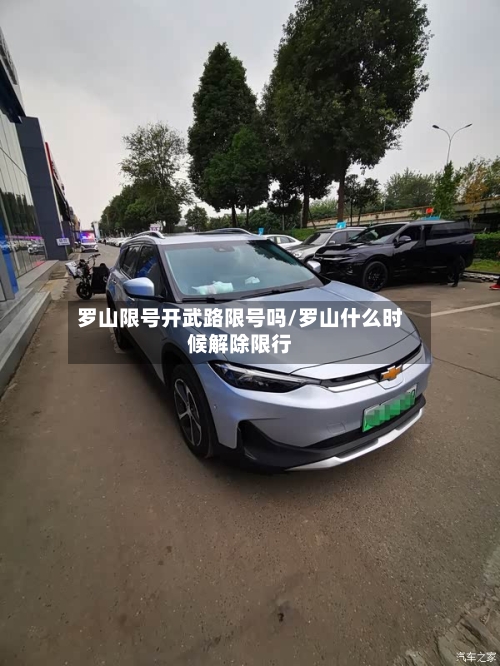 罗山限号开武路限号吗/罗山什么时候解除限行