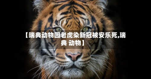 【瑞典动物园老虎染新冠被安乐死,瑞典 动物】-第2张图片