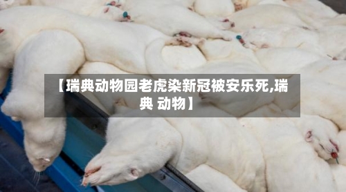 【瑞典动物园老虎染新冠被安乐死,瑞典 动物】