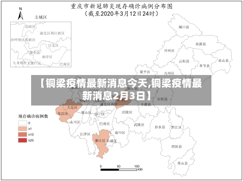 【铜梁疫情最新消息今天,铜梁疫情最新消息2月3日】-第3张图片