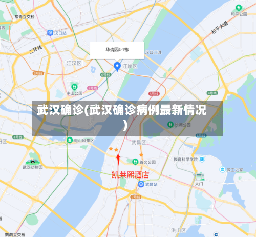 武汉确诊(武汉确诊病例最新情况)