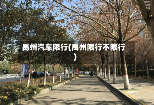禹州汽车限行(禹州限行不限行)