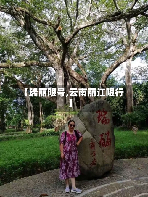 【瑞丽限号,云南丽江限行】-第3张图片