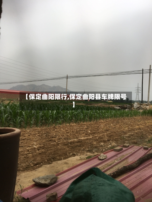 【保定曲阳限行,保定曲阳县车牌限号】-第3张图片