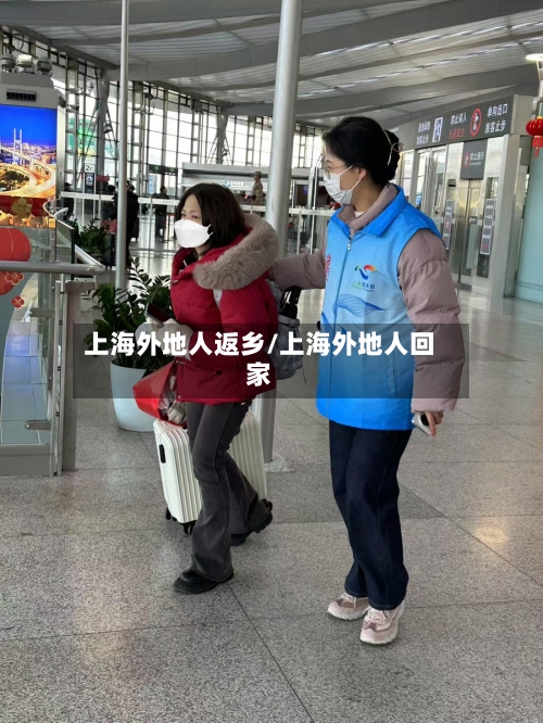 上海外地人返乡/上海外地人回家