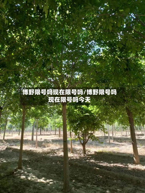 博野限号吗现在限号吗/博野限号吗现在限号吗今天