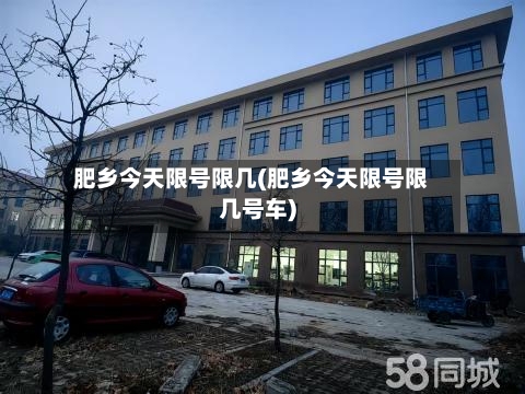 肥乡今天限号限几(肥乡今天限号限几号车)-第2张图片