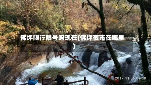 佛坪限行限号吗现在(佛坪夜市在哪里)